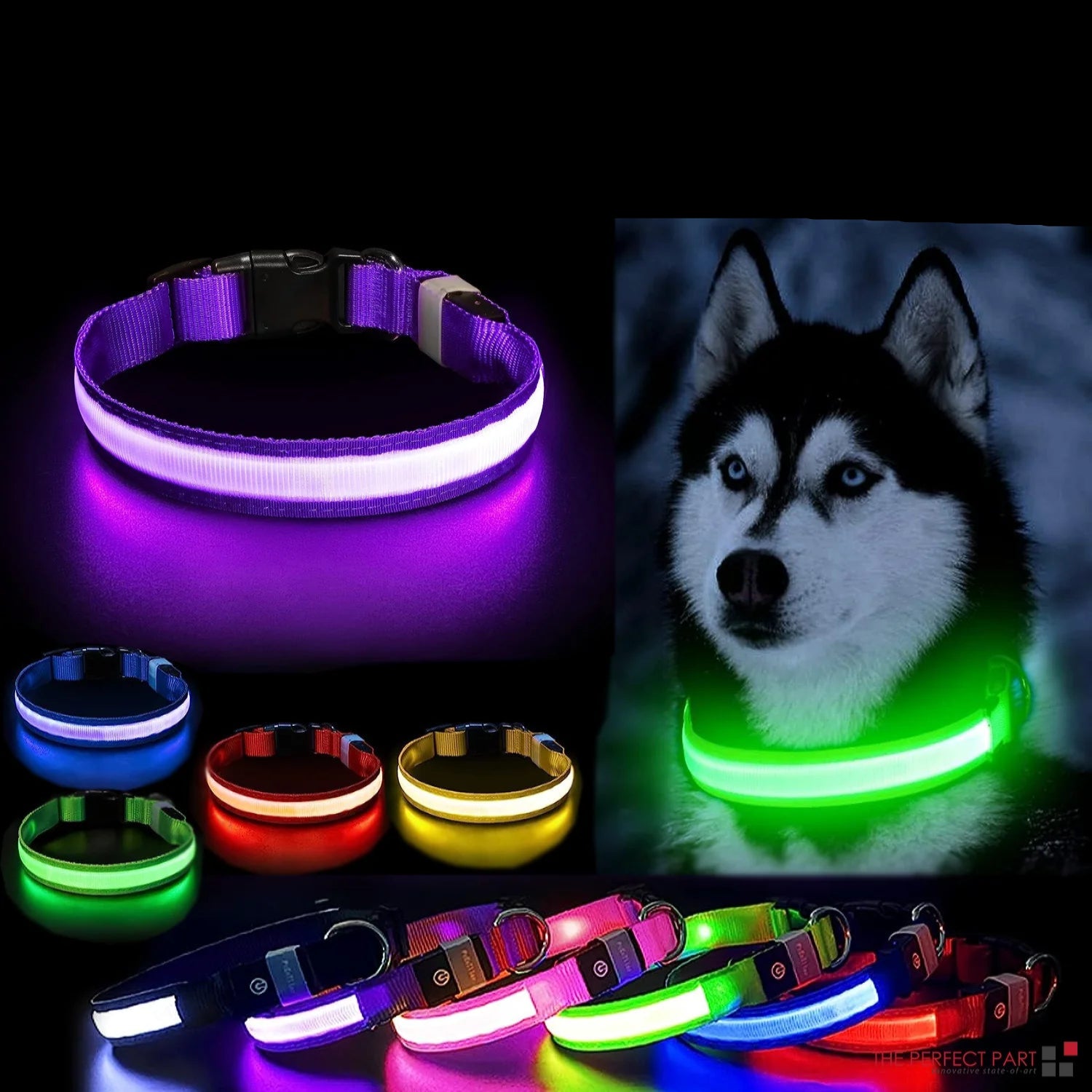 GlowPaw Collar - LED Adjustable Dog Collar